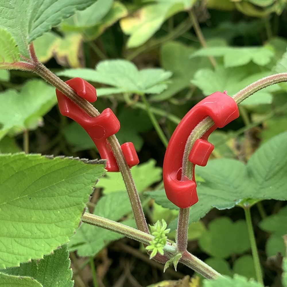 Spony na ohýbanie rastliny